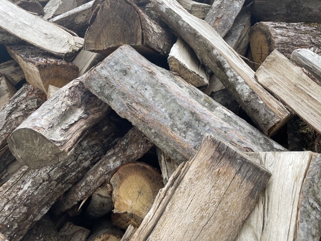 Bois de chauffage charme : l’indispensable des bois durs